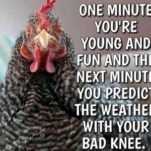 Meet your Posher, Anja